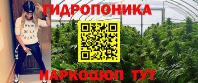 прущие крисы Кулебаки